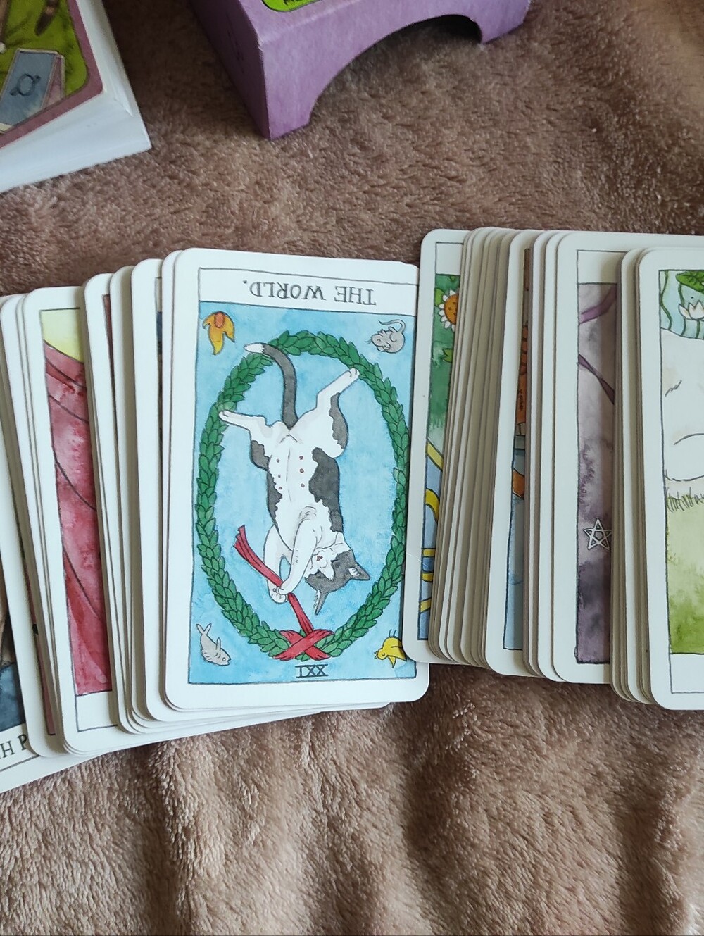 Cat tarot deck - Picture 4 of 4